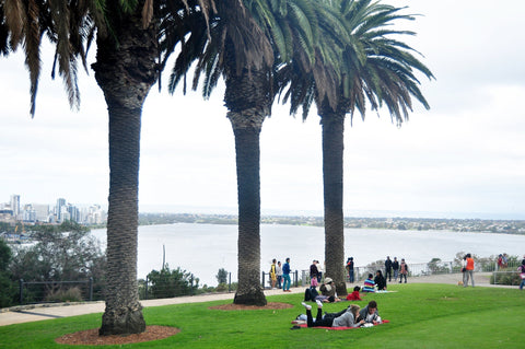 How to Create a British-Inspired Picnic in Australia