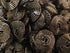 British Sweets - Gelco Liquorice Wheels